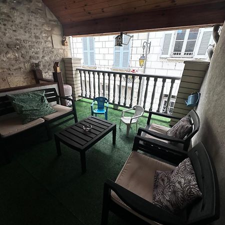 Gite Le Nid Des Zoo Zio, 5Mn Beauval, Appartement Terrasse Centre-Ville Saint-Aignan  Exterior foto